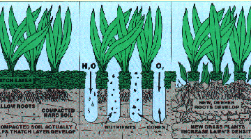 Core Aeration